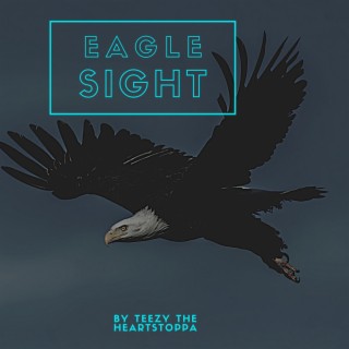 Eagles Sight (Special Version)