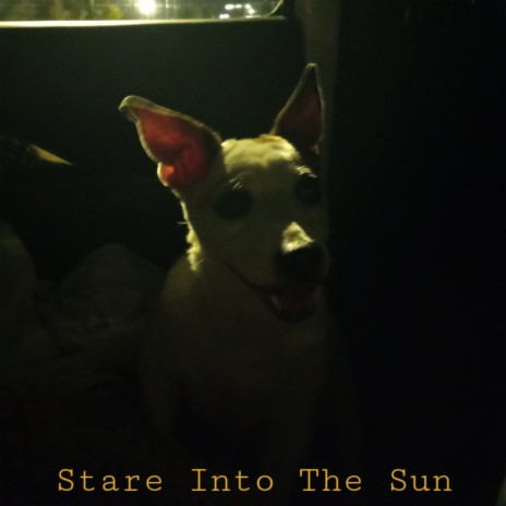 Stare Into The Sun (Demo) | Boomplay Music