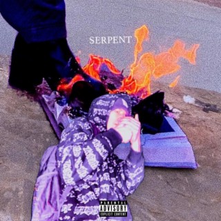 Serpent lyrics | Boomplay Music