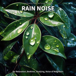 #1 Rain Noise for Relaxation, Bedtime, Studying, Noise of Neighbors