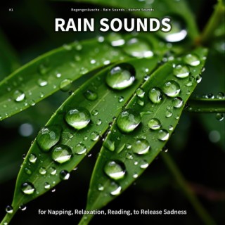 #1 Rain Sounds for Napping, Relaxation, Reading, to Release Sadness