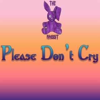 Please Don't Cry lyrics | Boomplay Music