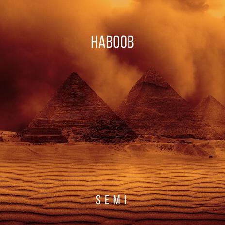 Haboob (Radio Edit) | Boomplay Music