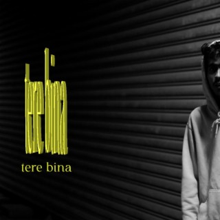 Tere bina lyrics | Boomplay Music
