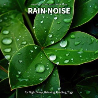 #1 Rain Noise for Night Sleep, Relaxing, Reading, Yoga