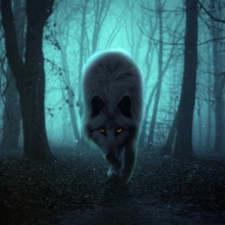 I'M A WOLF