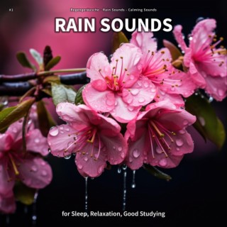 #1 Rain Sounds for Sleep, Relaxation, Good Studying