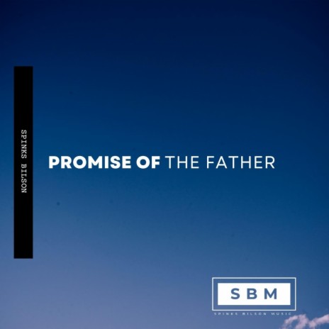 Promise of the Father (Live) | Boomplay Music