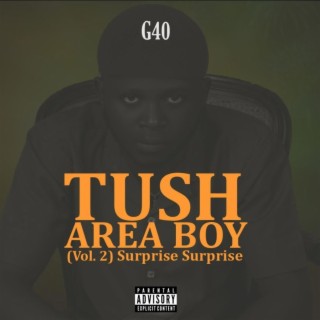 Tush Area Boy, Vol. 2 Suprise Suprise