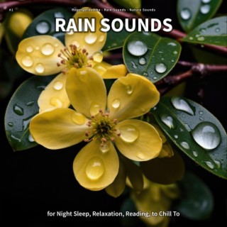 #1 Rain Sounds for Night Sleep, Relaxation, Reading, to Chill To