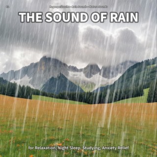 #1 The Sound of Rain for Relaxation, Night Sleep, Studying, Anxiety Relief