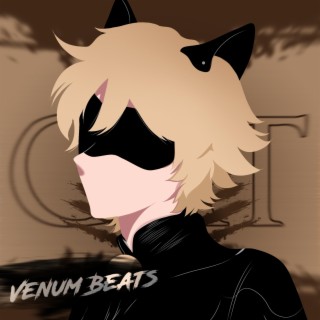 Rap do Cat Noir (Miraculous)