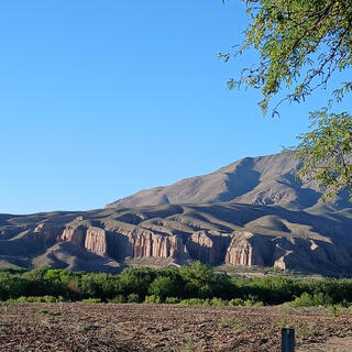 Sonora mi tierra natal