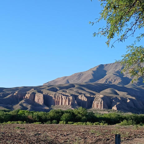 Sonora mi tierra natal | Boomplay Music