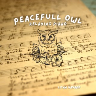 Peacefull Owl : Relaxing piano