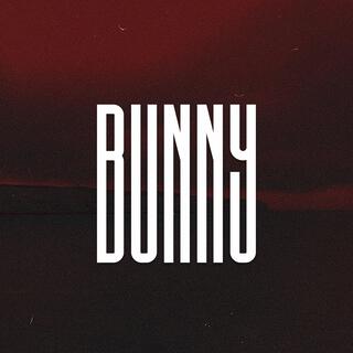 Bunny (Reggaeton Type Beat)