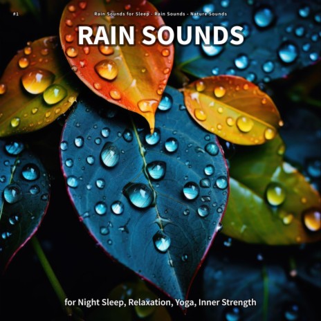 Deep Ambient Soundscapes ft. Rain Sounds & Nature Sounds