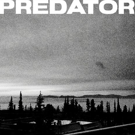 PREDATOR | Boomplay Music