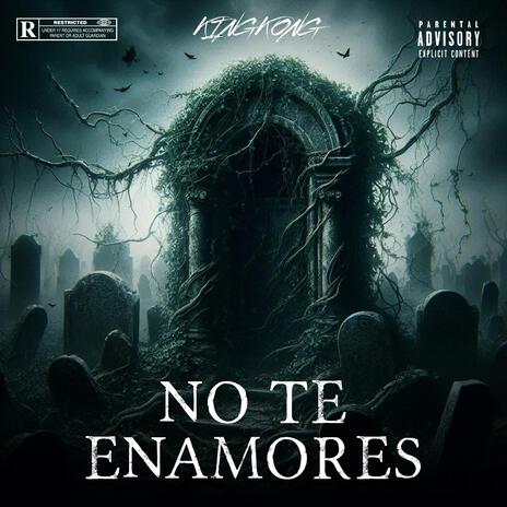 NO TE ENAMORES