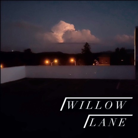 Willow Lane | Boomplay Music