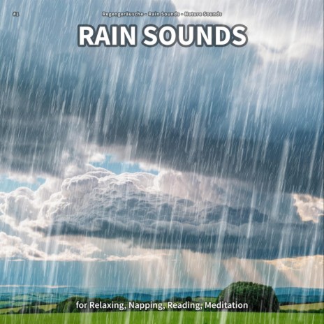 Tranquil Sounds for Reading ft. Rain Sounds & Nature Sounds | Boomplay Music