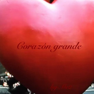 Corazón grande lyrics | Boomplay Music