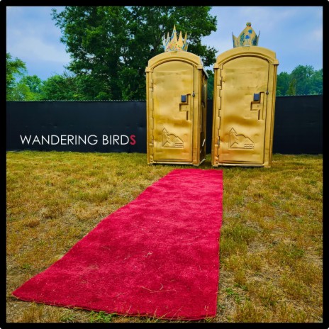 Wandering Birds | Boomplay Music