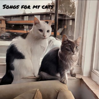 Songs For My Cats