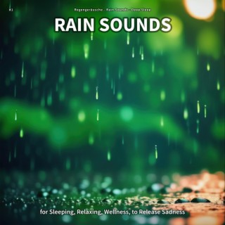 #1 Rain Sounds for Sleeping, Relaxing, Wellness, to Release Sadness