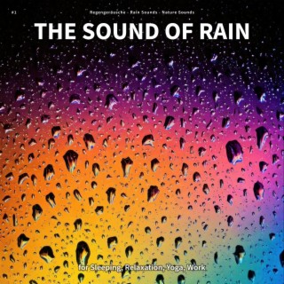 #1 The Sound of Rain for Sleeping, Relaxation, Yoga, Work