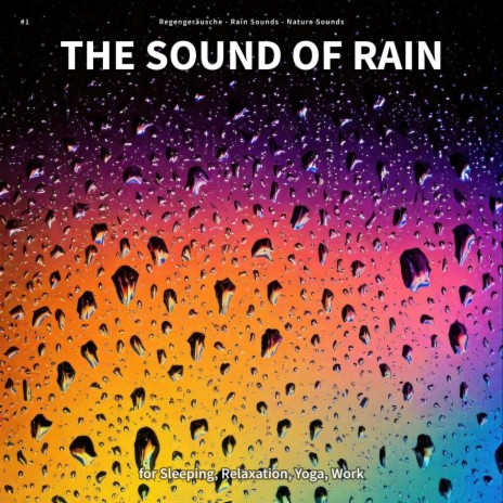 Placid Pleasures ft. Rain Sounds & Nature Sounds