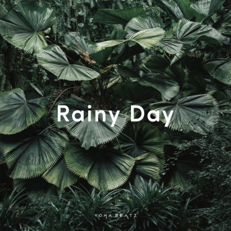 Rainy Day | Boomplay Music