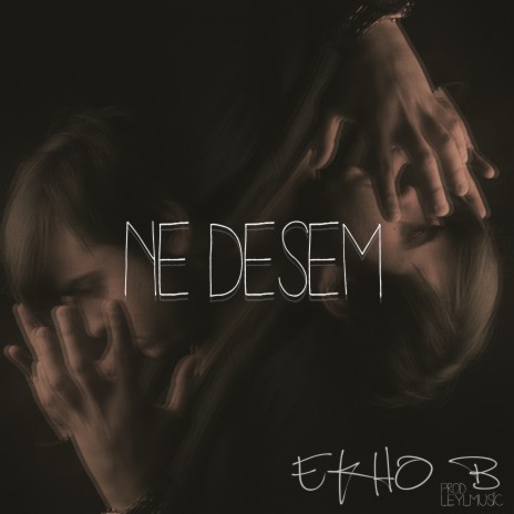 Ne Desem | Boomplay Music