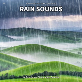 #1 Rain Sounds for Relaxation, Sleep, Yoga, Serenity