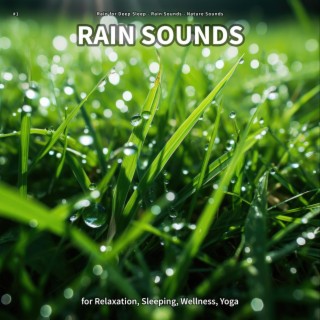 #1 Rain Sounds for Relaxation, Sleeping, Wellness, Yoga