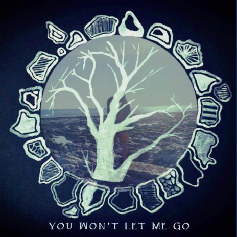 You Won't Let Me Go | Boomplay Music