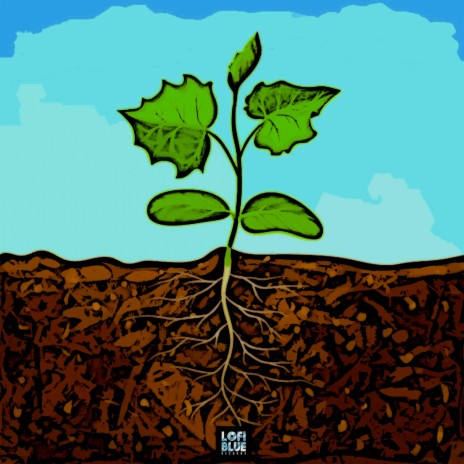 Plant Growth | Boomplay Music