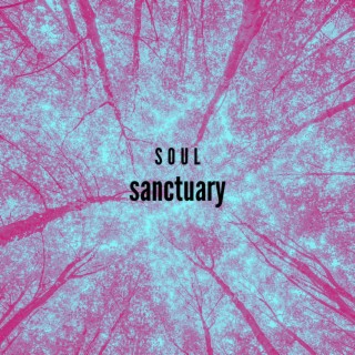 Soul Sanctuary