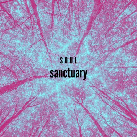 Soul Sanctuary | Boomplay Music