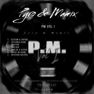 PM VOL 1