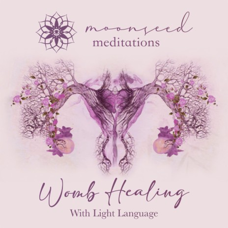 Womb Healing (Guided Meditation, Light Language) | Boomplay Music