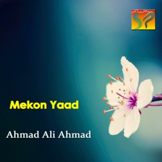 Mekon Yaad