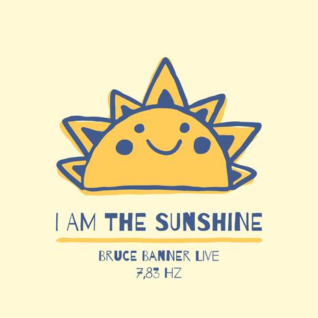 I am The Sunshine | Boomplay Music