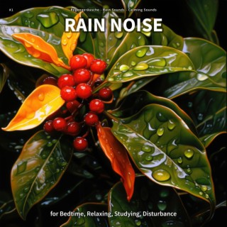 #1 Rain Noise for Bedtime, Relaxing, Studying, Disturbance
