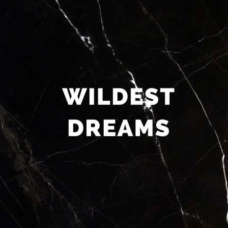 Wildest Dreams (Remix) | Boomplay Music