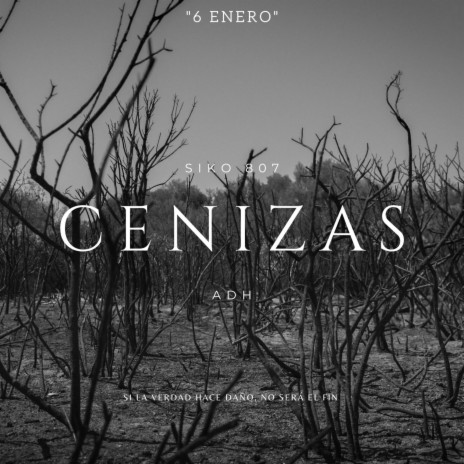 CENIZAS | Boomplay Music