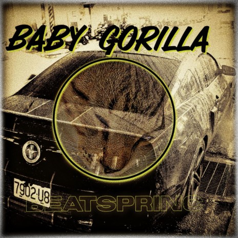 BABY GORILLA | Boomplay Music