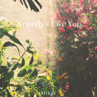 Nobody's Like You