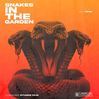 Snakes In The Garden