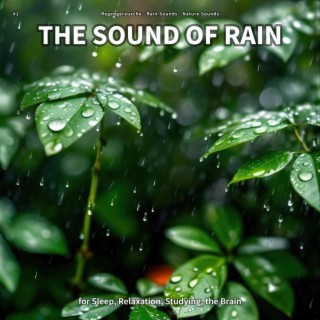 #1 The Sound of Rain for Sleep, Relaxation, Studying, the Brain